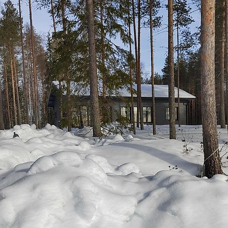 Norvalisma Villa Рованиеми Екстериор снимка